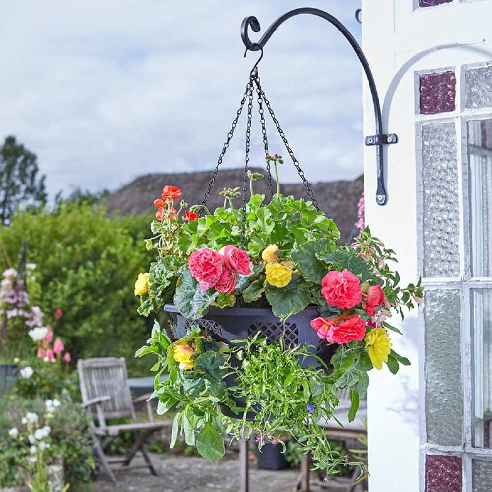 Smart Garden - 15in FlowerPro Basket