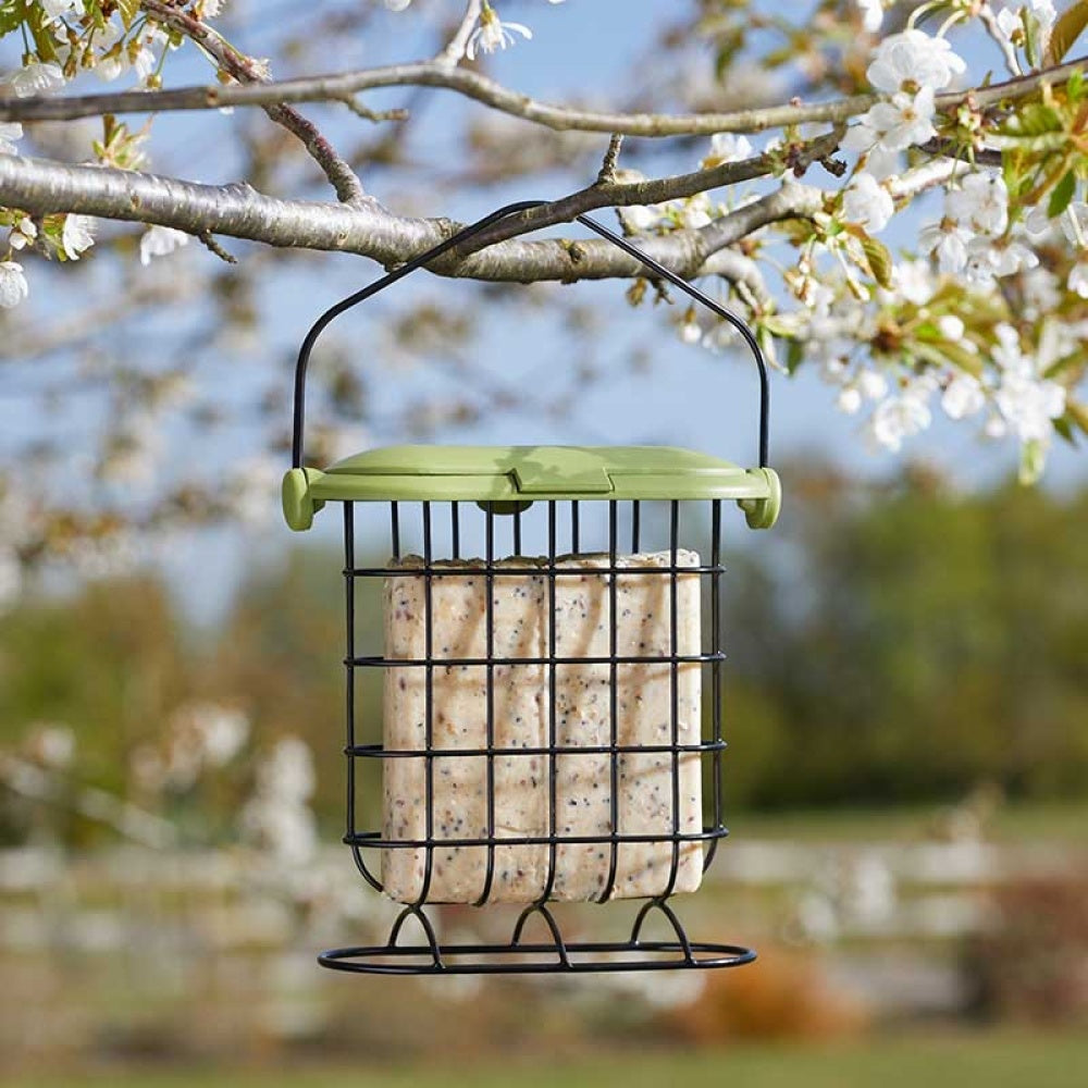 ChapelWood - Suet Cake Feeder