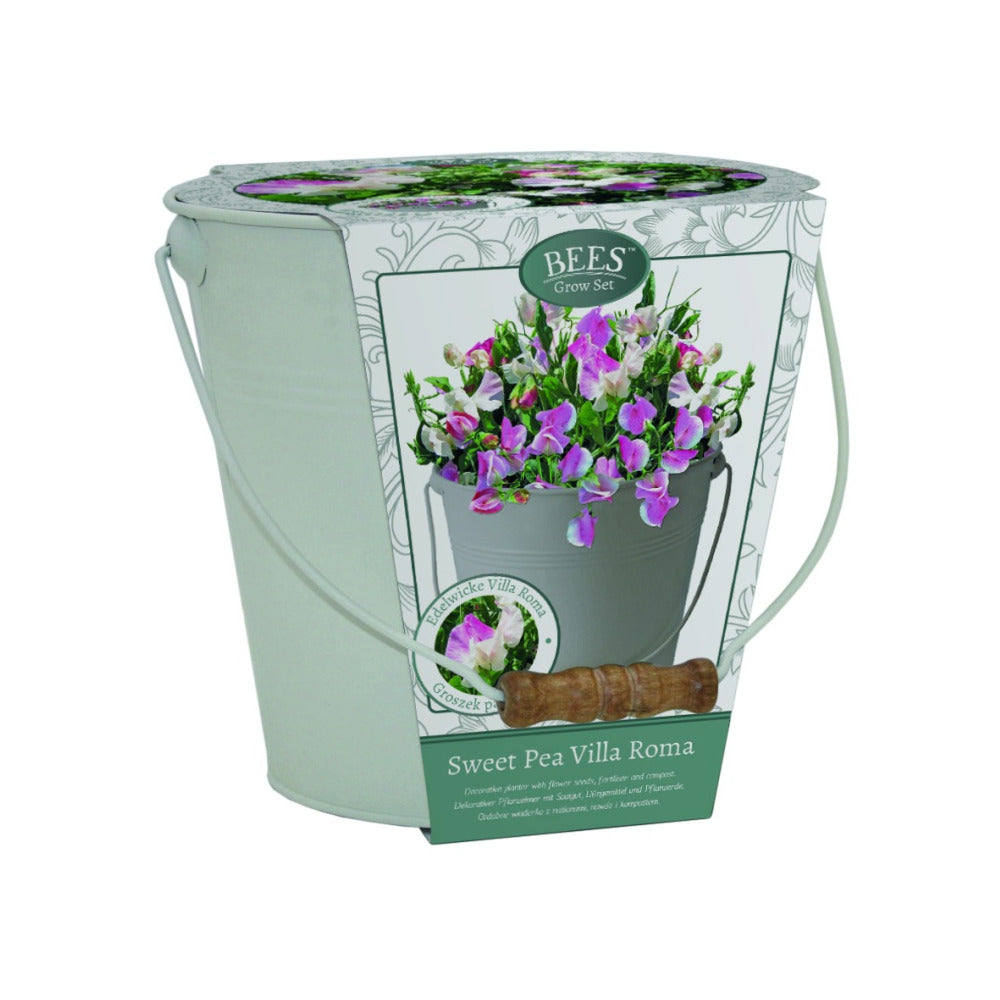 Sweet Pea Gift Bucket Grow Set