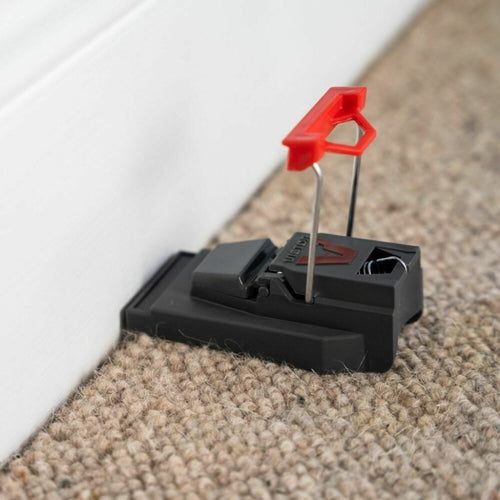 Deadfast Quick Kill Mouse Trap Twin