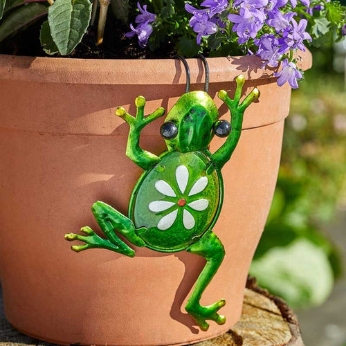 Flamboya - Fancy Frog Pot Hanger