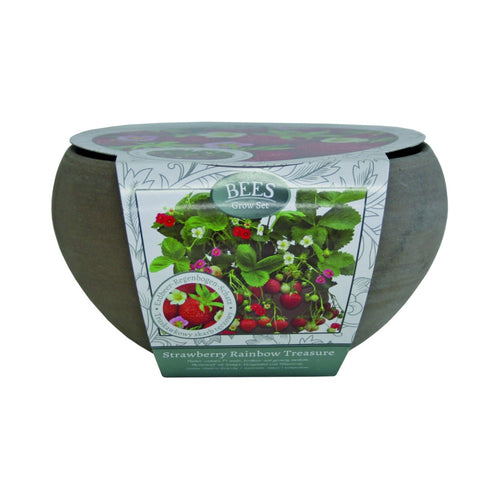 Strawberry Rainbow Treasure Growing Gift Set