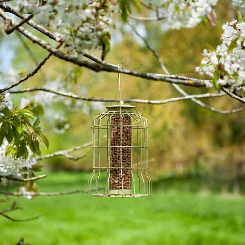 ChapelWood - Original Squirrel Proof Peanut Feeder