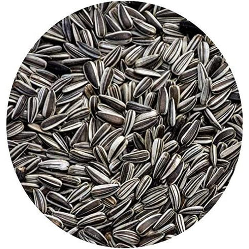 Goldcrop - Sunflower Seed Striped 20Kg