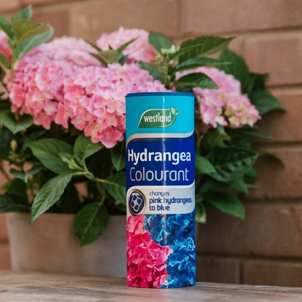 Westland Hydrangea Colourant 500g