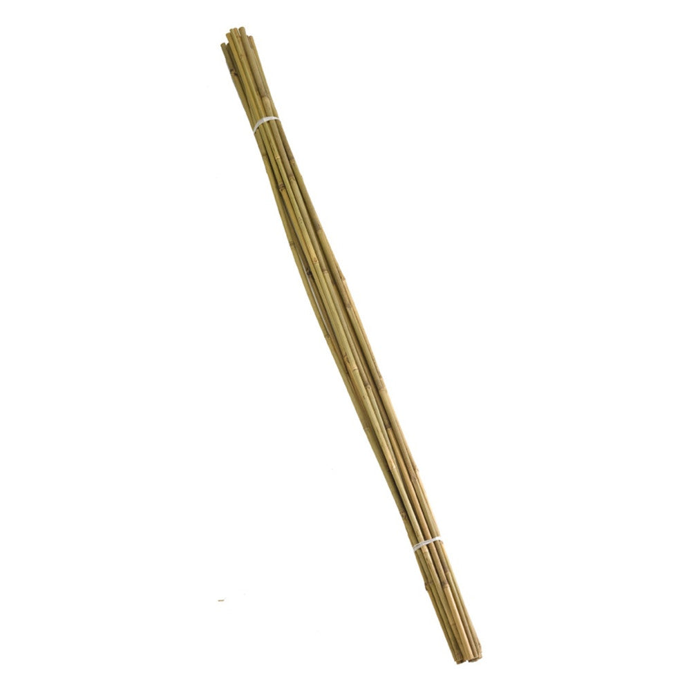 Smart Garden - 150cm Bamboo Canes Bundle 20