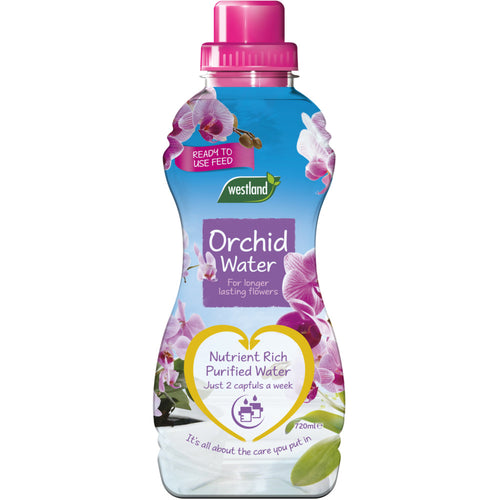 Westland Orchid Water