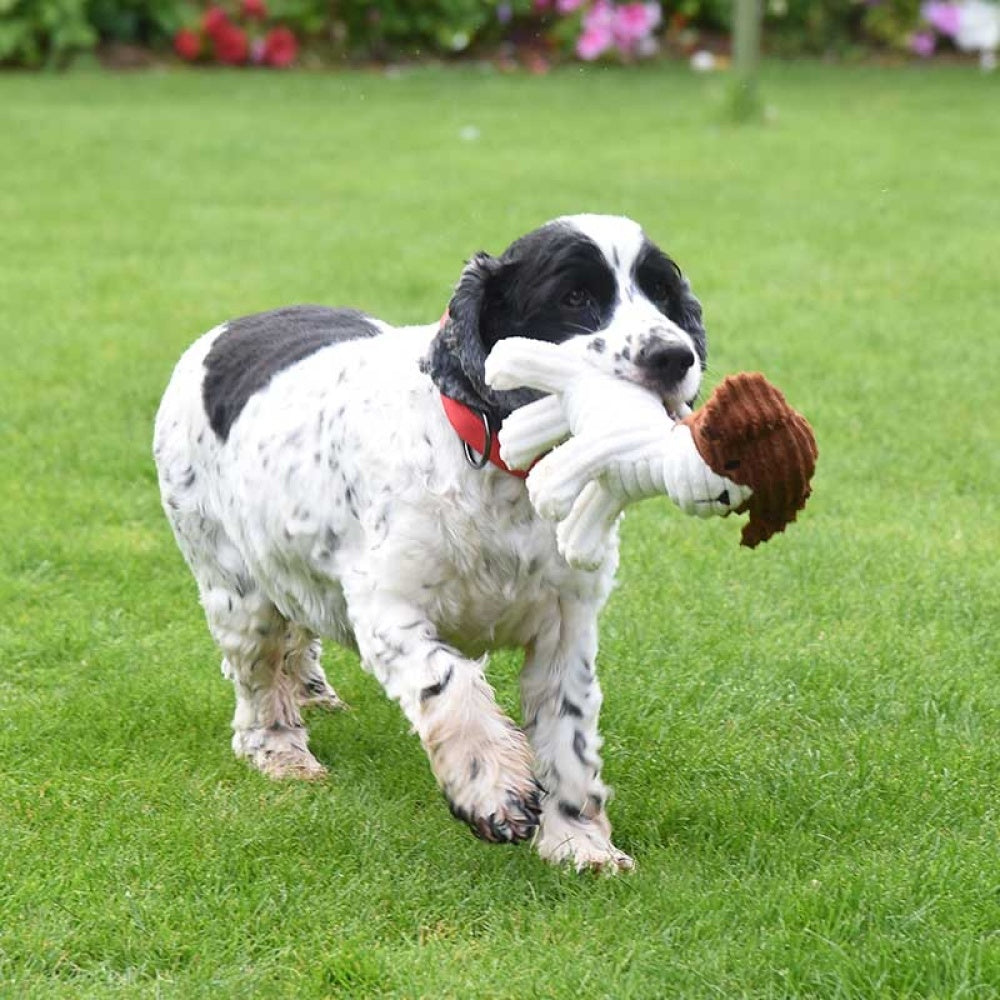 Zoon - MiniPlay Percy Pug