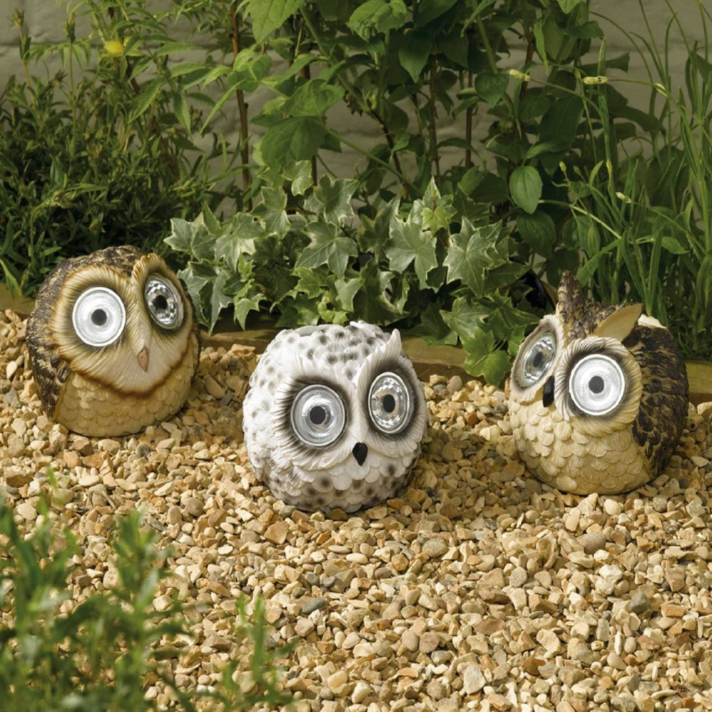 Smart Solar - Bright Eye Owls, POS 24