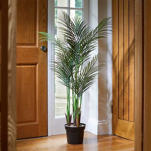 Faux Decor - Phoenix Palm