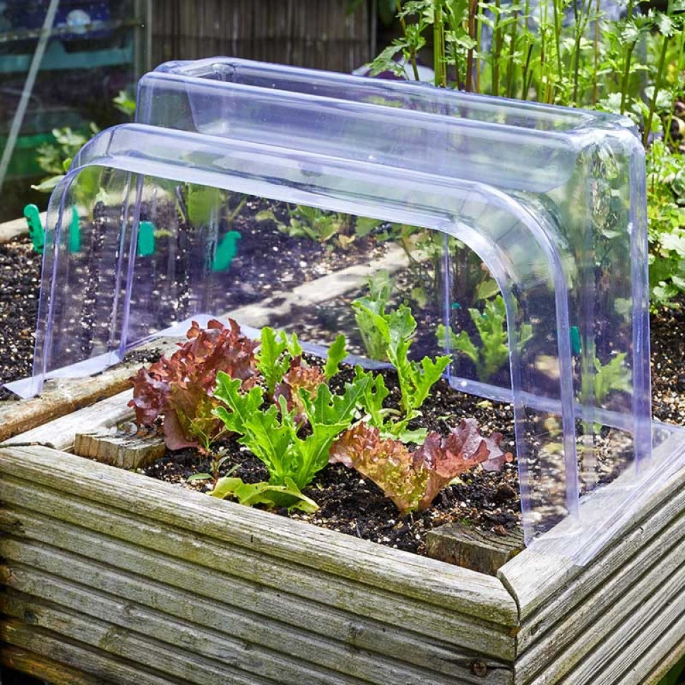 GroZone - Clear Cloche Ends