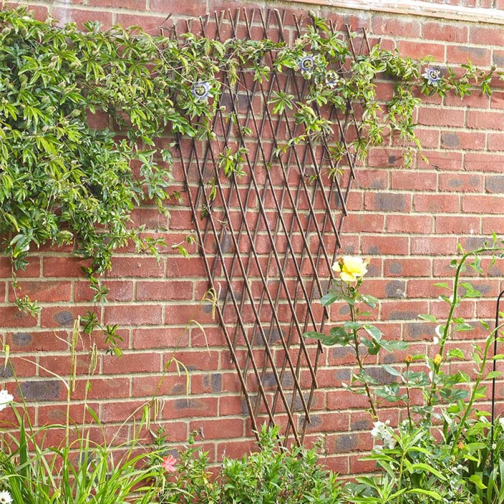 Smart Garden - Exp Fan Willow Trellis 1.8x0.9m