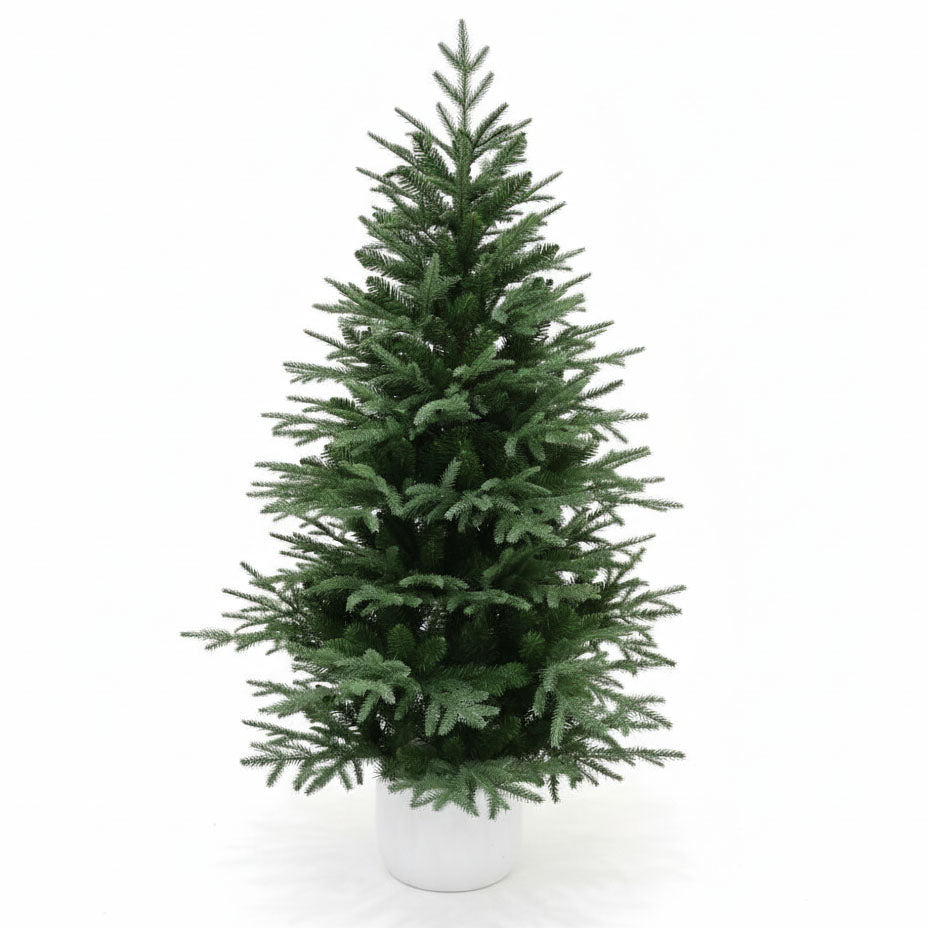 Castle Rock Potted Spruce Tree - 4ft