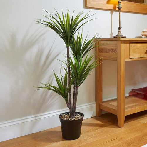 Faux Decor - Dragon Tree