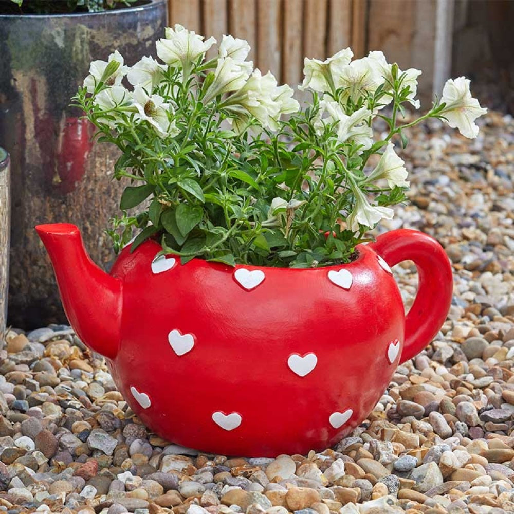 Flamboya - Teapot Heart Planter