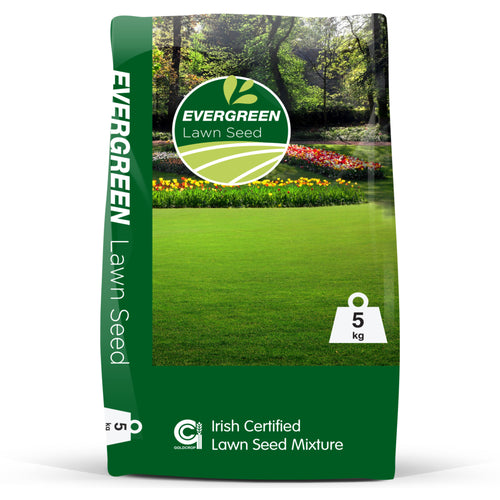 Lawn Seed - 5kg