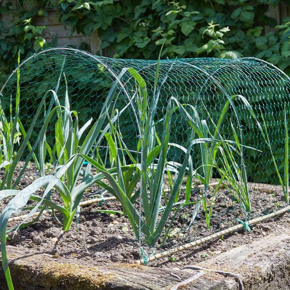 Smart Garden - PVC Ctd. Wire Netting, 25mm, Green, 0.5x5m