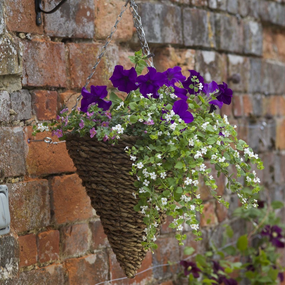 Smart Garden - 12in Country Rattan Hanging Cone