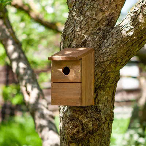 ChapelWood - Nest Box Classic, FSC 1