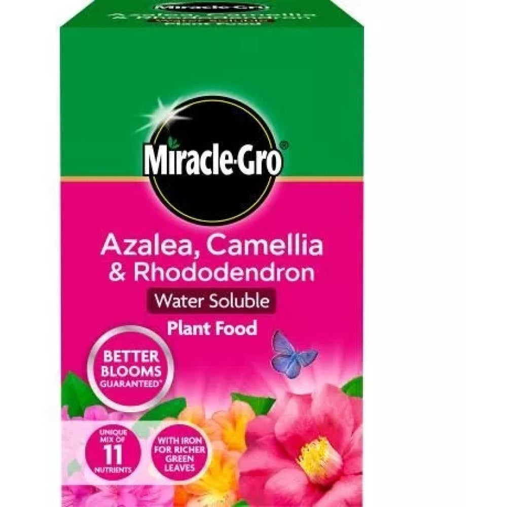 Miracle-Gro Azalea, camellia & rhododendron soluble plant food 500g