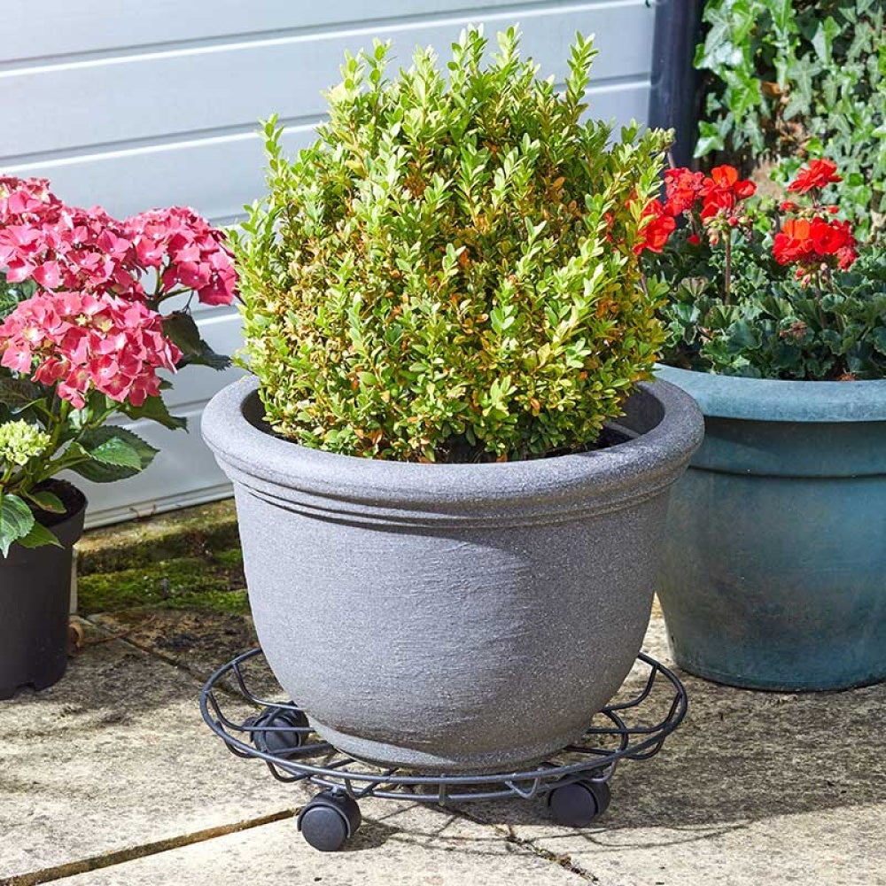 Smart Garden - 40cm Titan Pot Caddy, Black