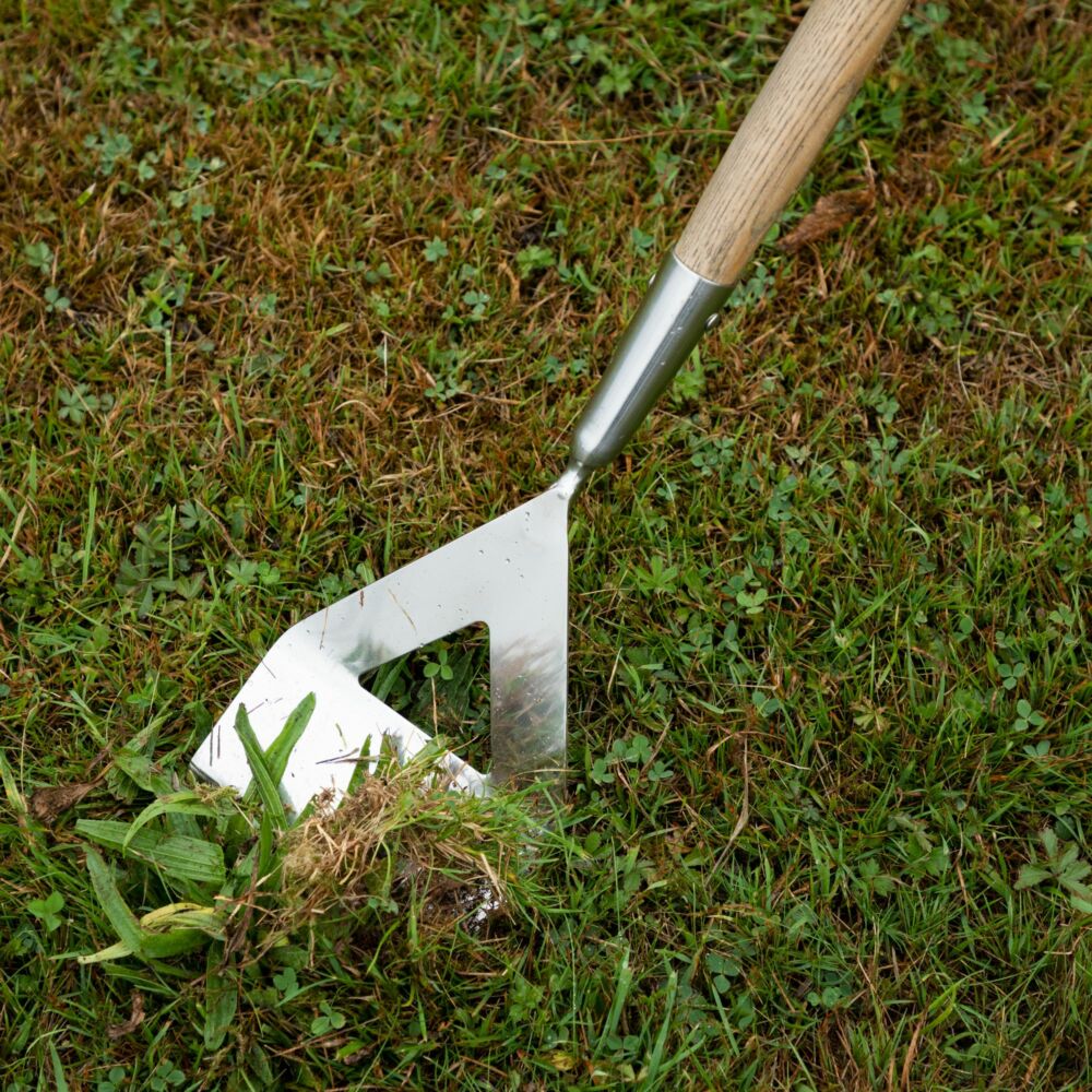 True Temper Harmony Stainless Steel Dutch Hoe