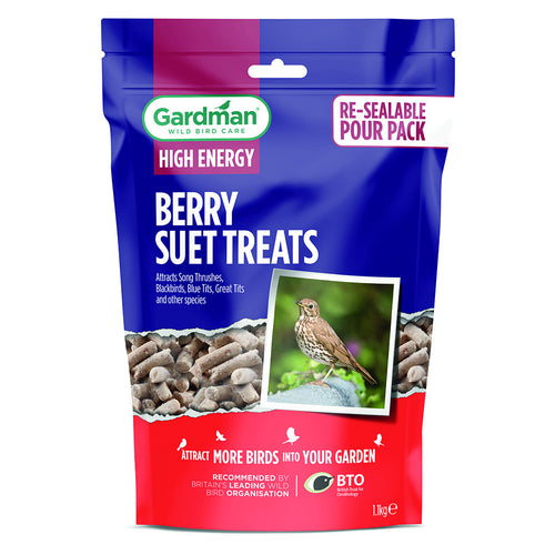 Gardman Berry Suet Treats 1.1kg