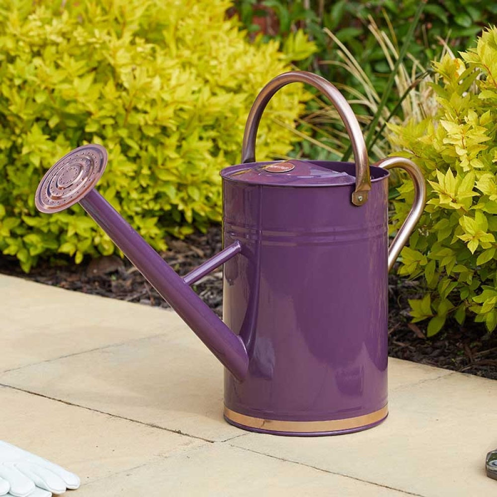 GroZone - Watering Can 9L, Violet