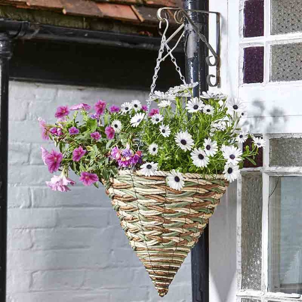 Smart Garden - 14in Trinity Hanging Cone