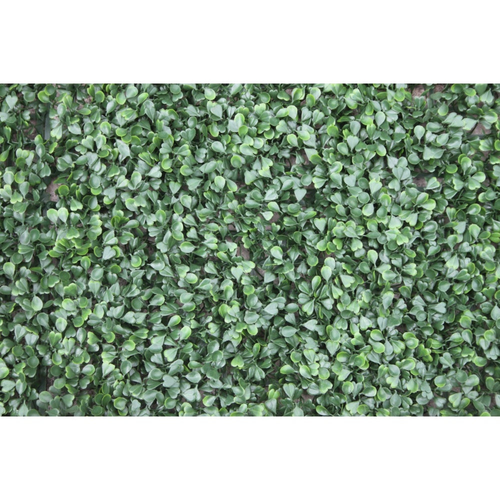 WonderWal Artificial Buxus Living Wall - 1m x 1m