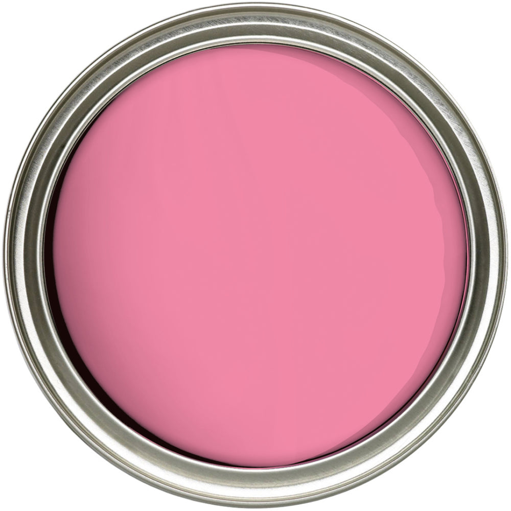 Fleetwood Easyclean Washable Matt Pink Popicle 75ml