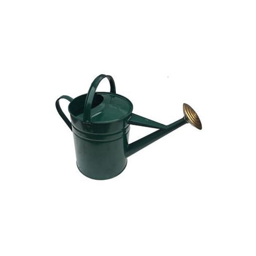 Galvanised Watering Can - 9ltr