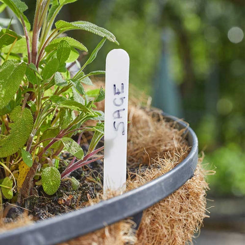Useful - 12.5cm Plant Labels 50pk