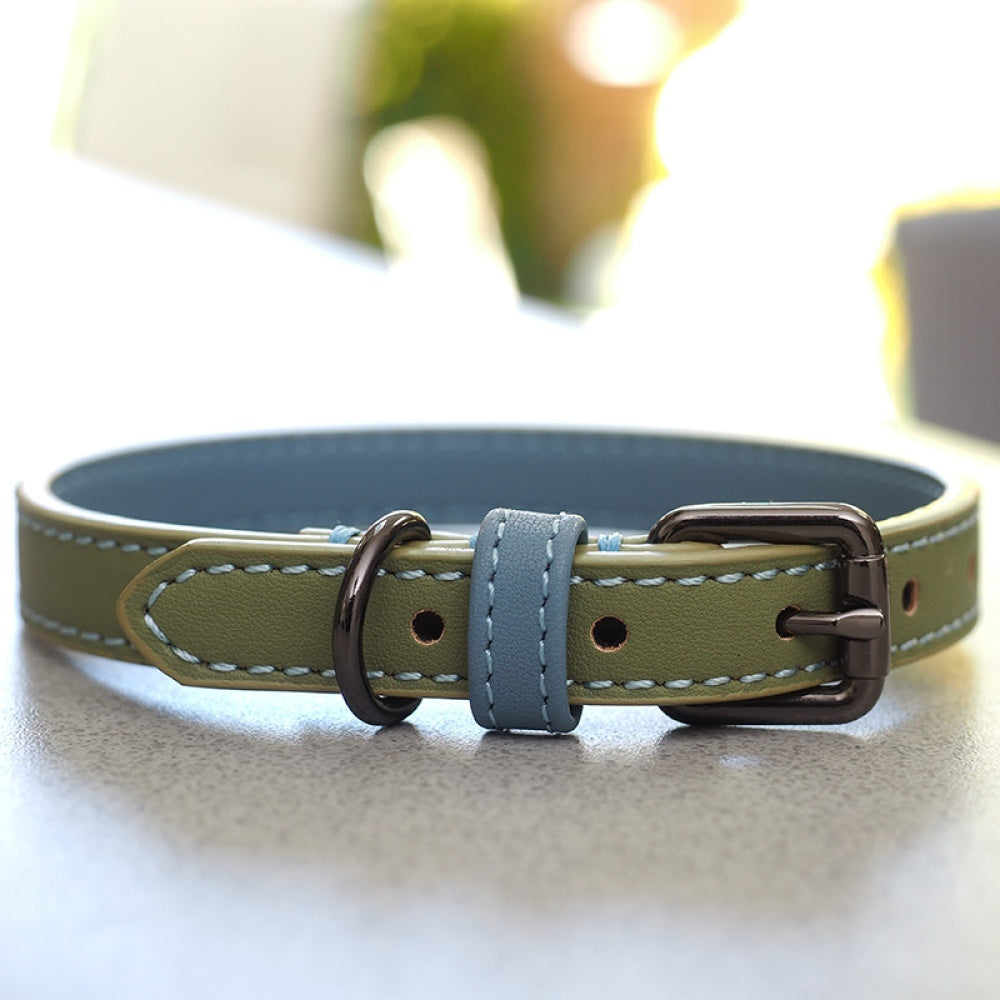 Zoon - Luxe Leather - Sage - S WalkAbout Dog Collar (28cm-40cm)