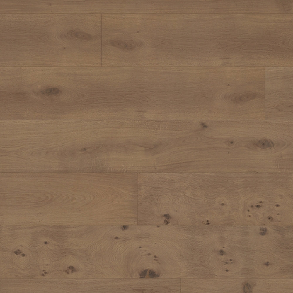 Desert Oak 240mm