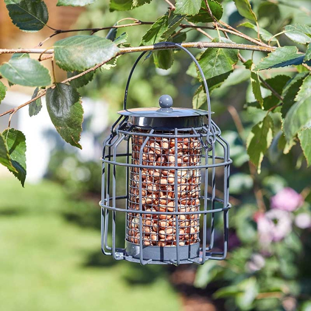 ChapelWood - Compact Peanut Feeder POS 16