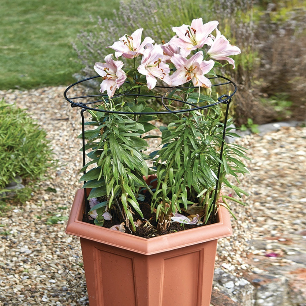 Smart Garden - Gro-Ring 30cm with 45cm Legs
