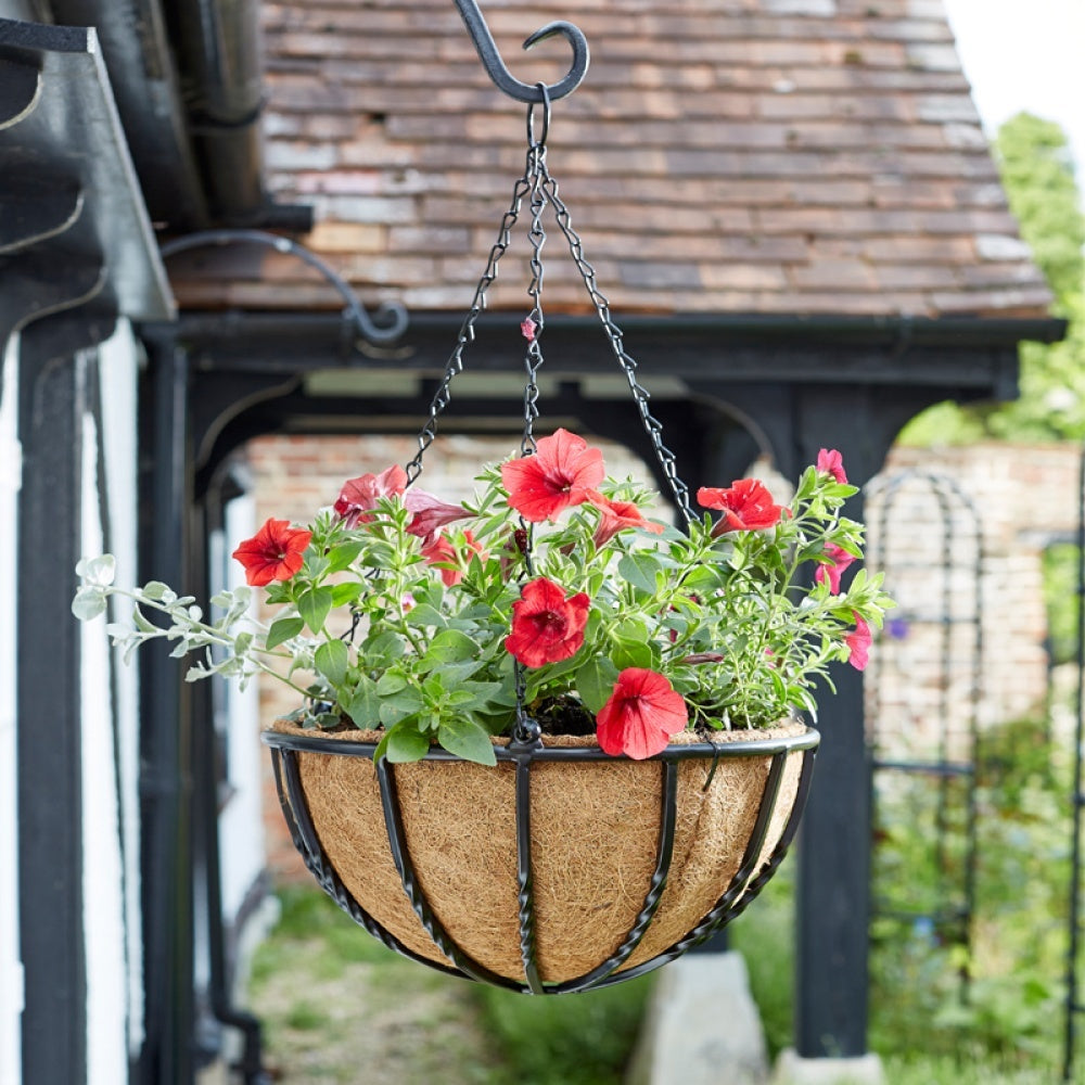 Smart Garden - 16in Forge Hanging Basket