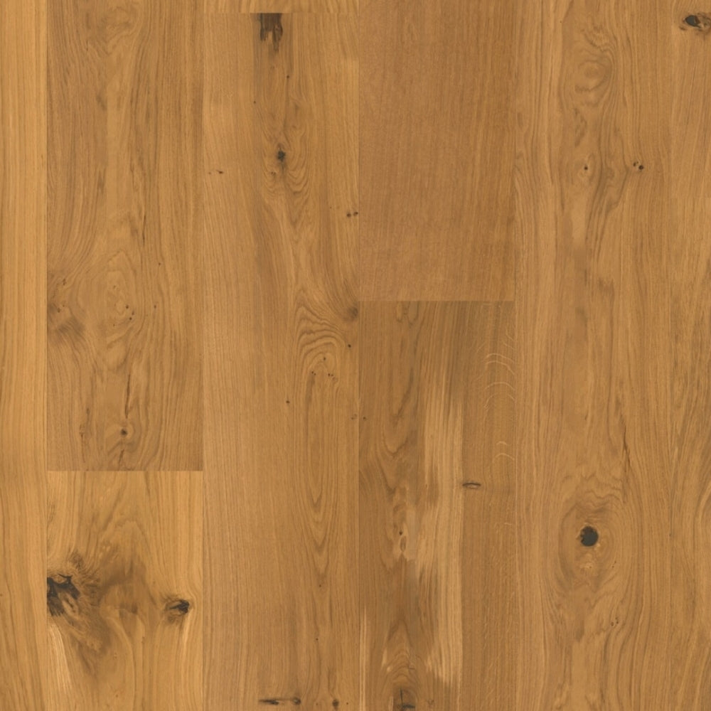 Kentucky Oak 220mm