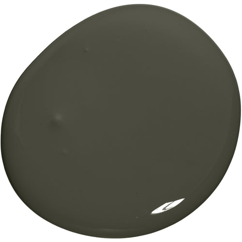 Colourtrend Soft Sheen 3L Bridle Path