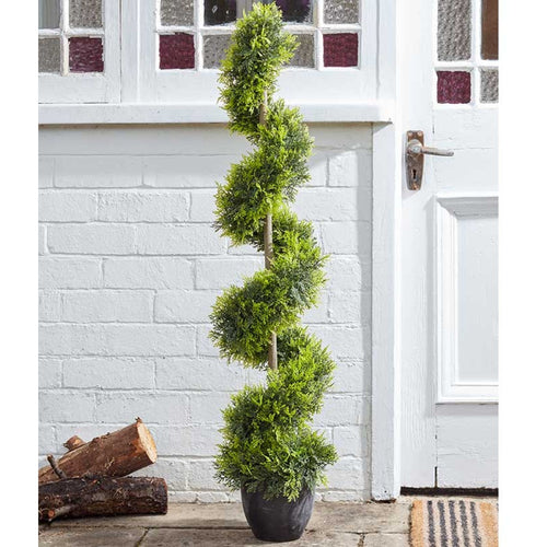 Faux Decor - Cypress Topiary Twirl