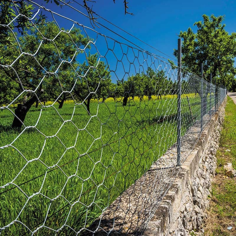 Smart Garden - Galvanised Wire Netting, 50mm, 0.5x5m