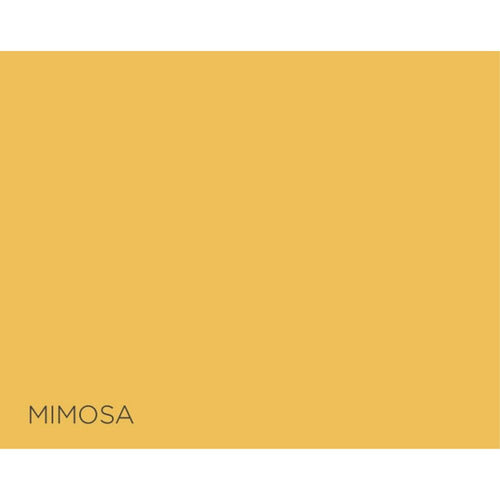 Fleetwood Prestige Pantone Mimosa 125ml