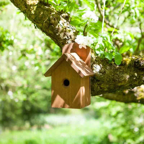 ChapelWood - Premier Nest Box, FSC 1