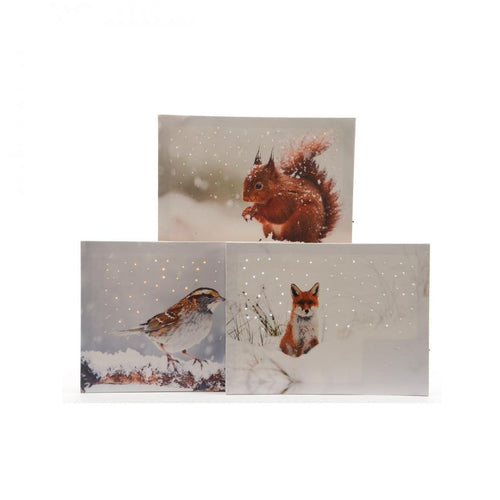 Lumineo - Fibre Optic Animal Canvas Scene - 3 Assorted