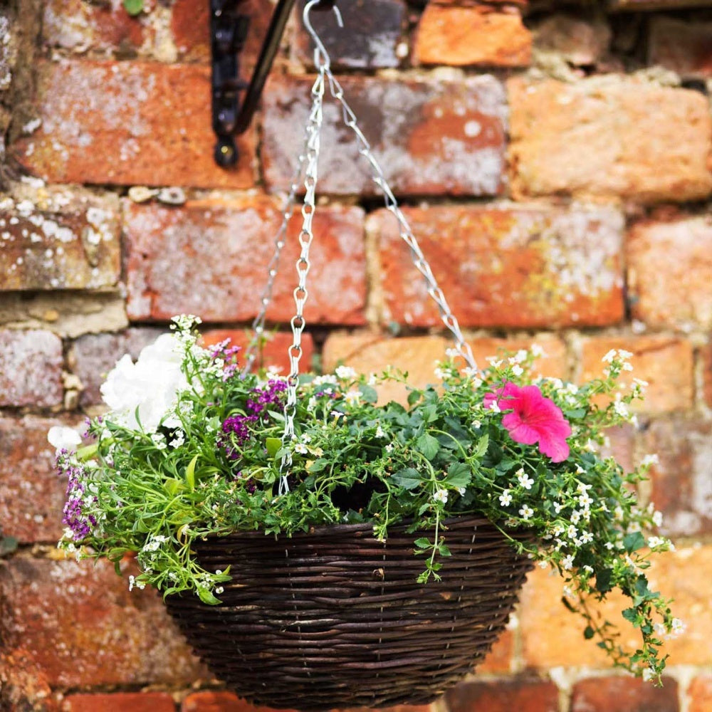 Smart Garden - 16in Rattan Hanging Basket