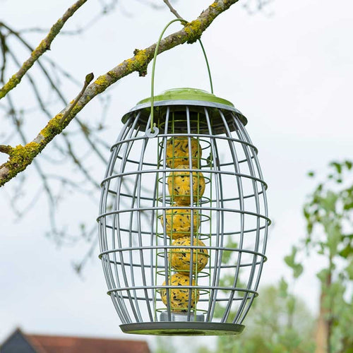 ChapelWood - Ultra Squirrel Proof Suet Ball Feeder