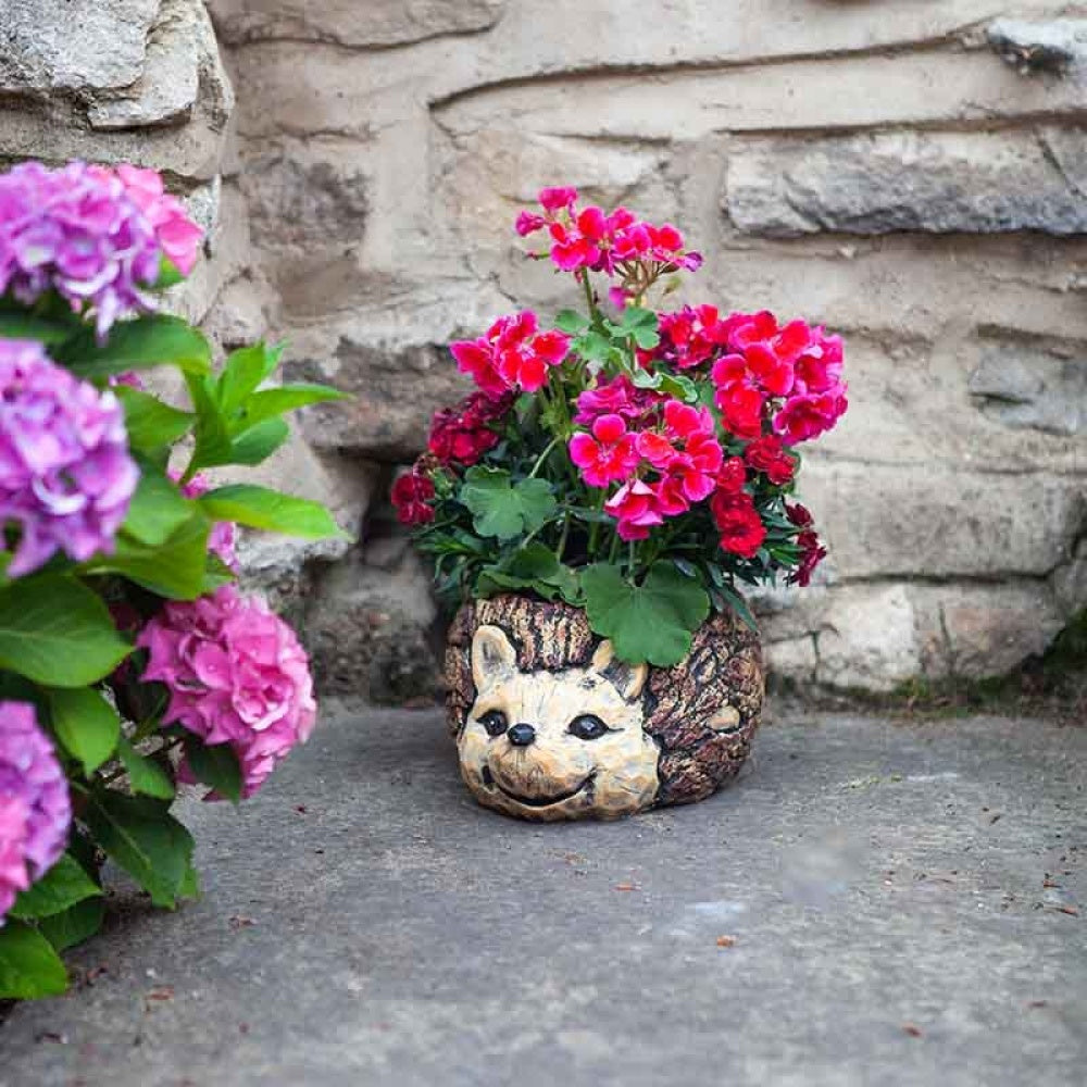 Flamboya - Hedgehog Planter