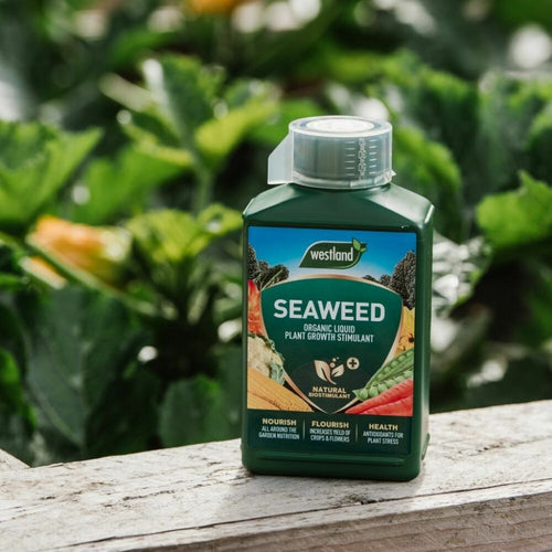 Westland Seaweed Liquid Plant Food 1L