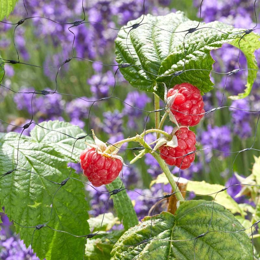 Smart Garden - Fruit Netting, 25mm Black Mesh, 4m x 10m